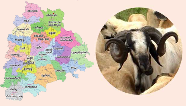 Telangana Jeevam
